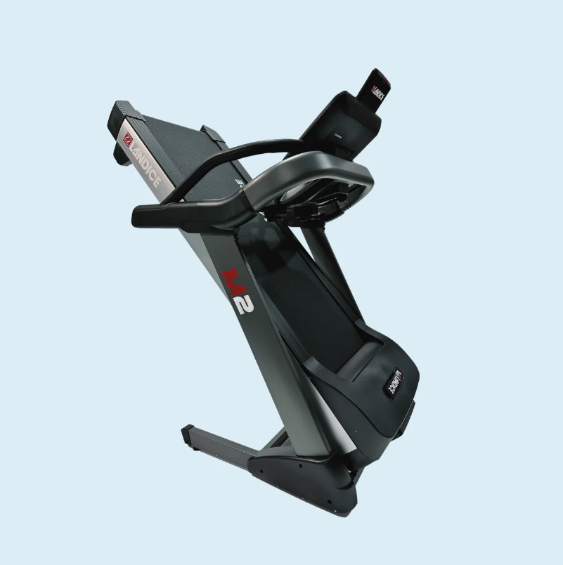 LANDICE M2 GENESIS TREADMILL - CANADA