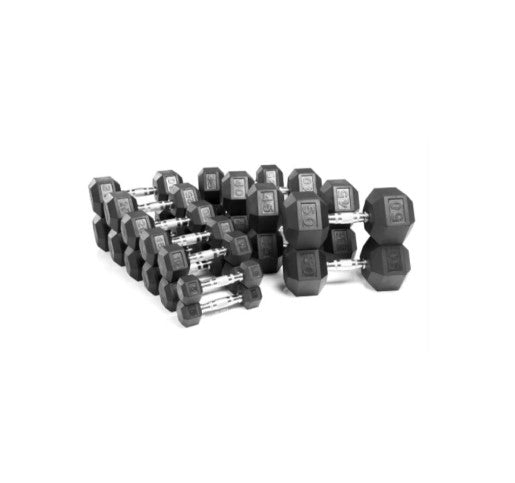 PARADIGM DUMBBELLS